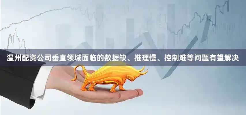 温州配资公司垂直领域面临的数据缺、推理慢、控制难等问题有望解决