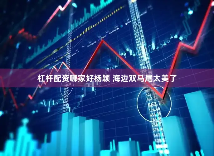 杠杆配资哪家好杨颖 海边双马尾太美了