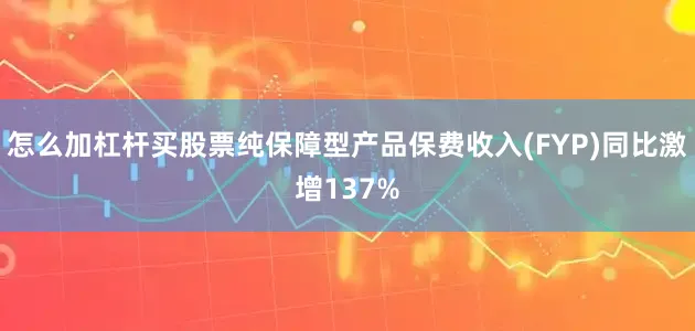 怎么加杠杆买股票纯保障型产品保费收入(FYP)同比激增137%